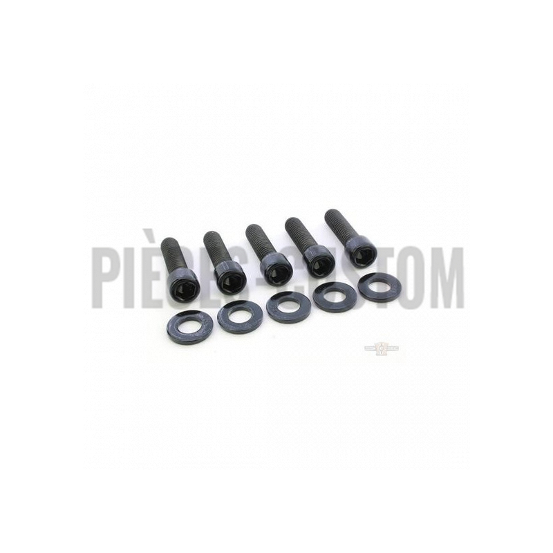 Kit-visserie-noir-de-pignon