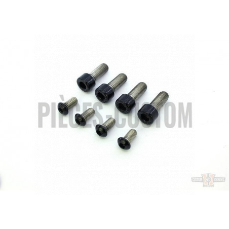 Kit-visserie-noire-pour-garde-boue-avant-V-rod-de-2002-à-2017