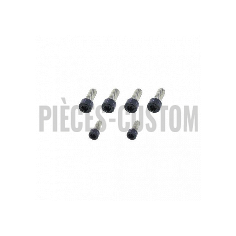 Kit-visserie-noire-de-reposes-pieds-pour-V-Rod-de-2007-à-2017