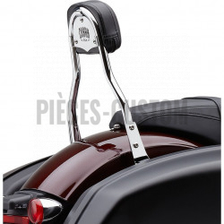 Sissy-Bar-détachable