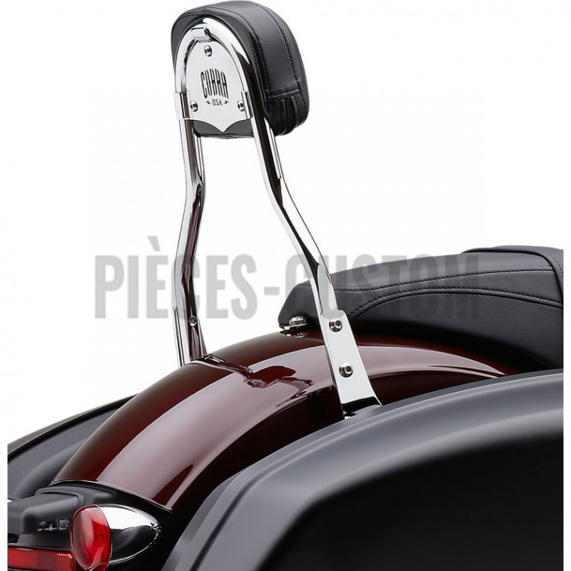 Sissy-Bar-détachable