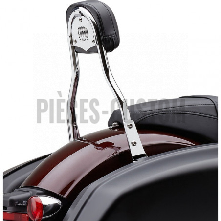 Sissy-Bar-détachable
