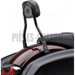Sissy-Bar-détachable