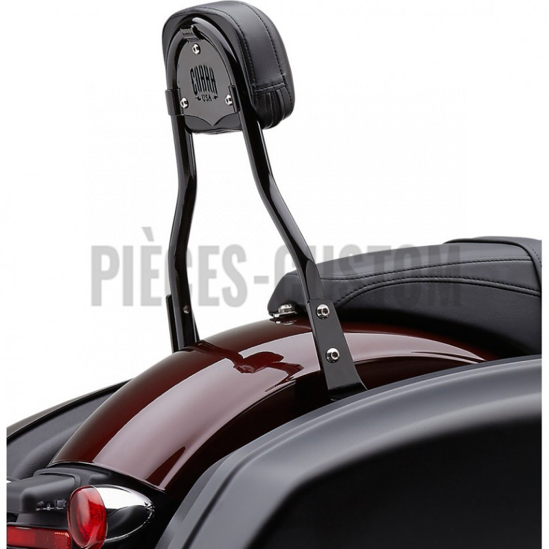 Sissy-Bar-détachable