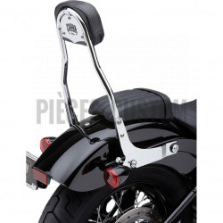 Sissy-Bar-détachable