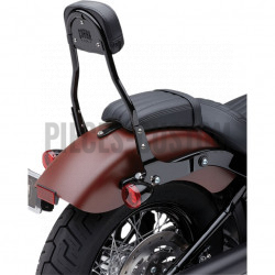 Sissy-Bar-détachable