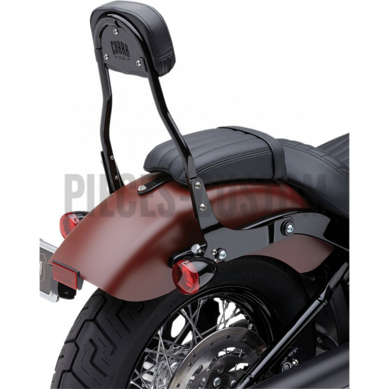 Sissy-Bar-détachable