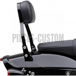 Sissy-Bar-détachable