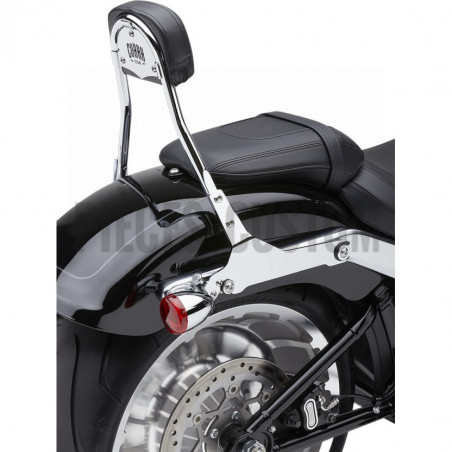 Sissy-Bar-détachable