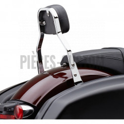 Sissy-Bar-détachable