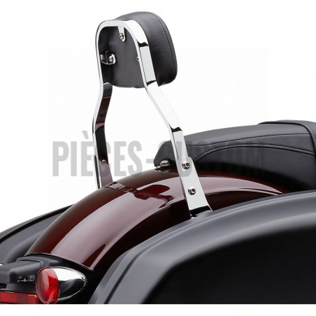 Sissy-Bar-détachable