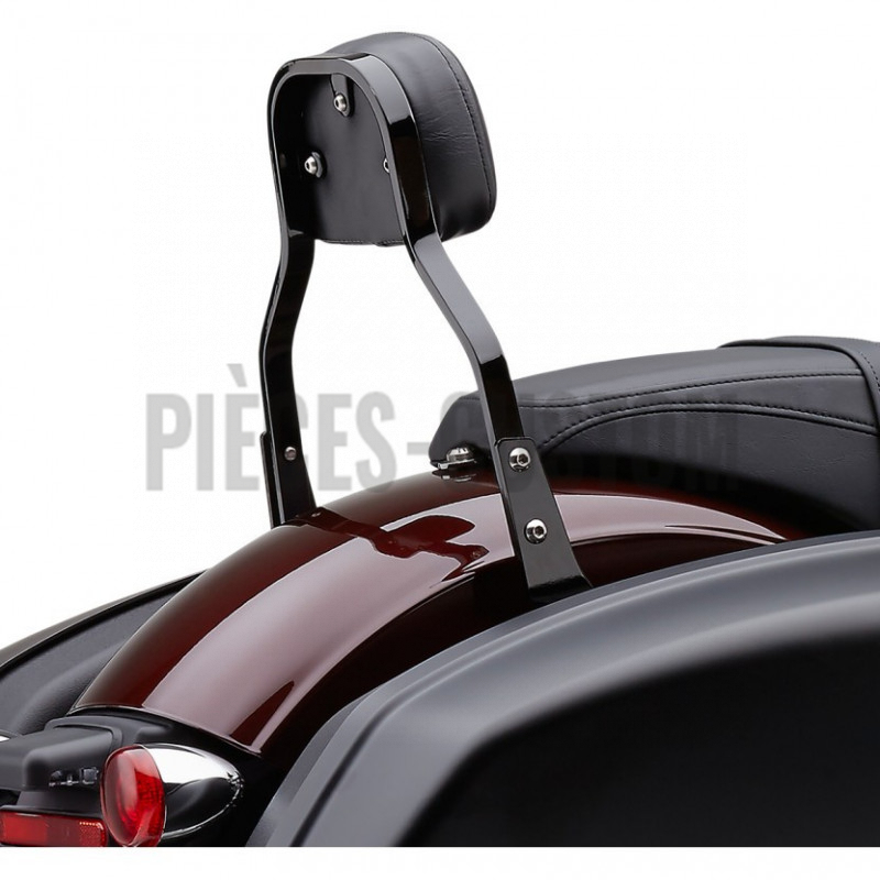 Sissy-Bar-détachable