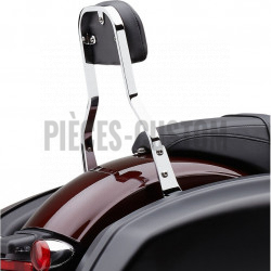 Sissy-Bar-détachable