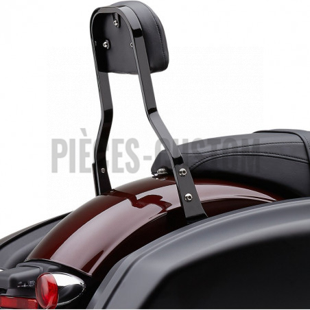 Sissy-Bar-détachable