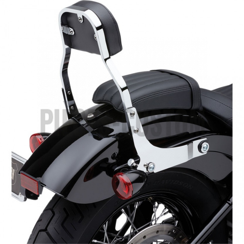 Sissy-Bar-détachable