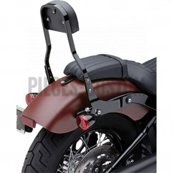 Sissy-Bar-détachable