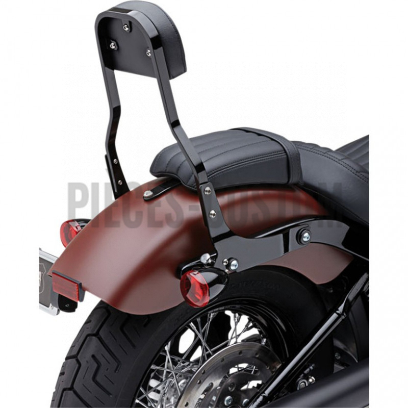 Sissy-Bar-détachable
