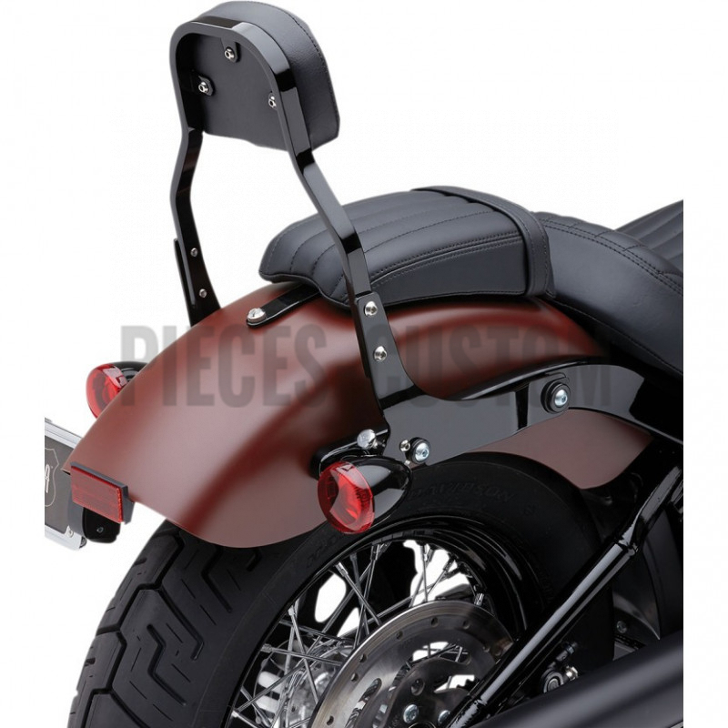 Sissy-Bar-détachable