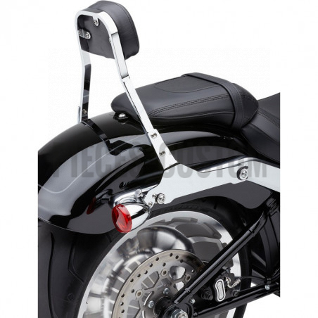 Sissy-Bar-détachable