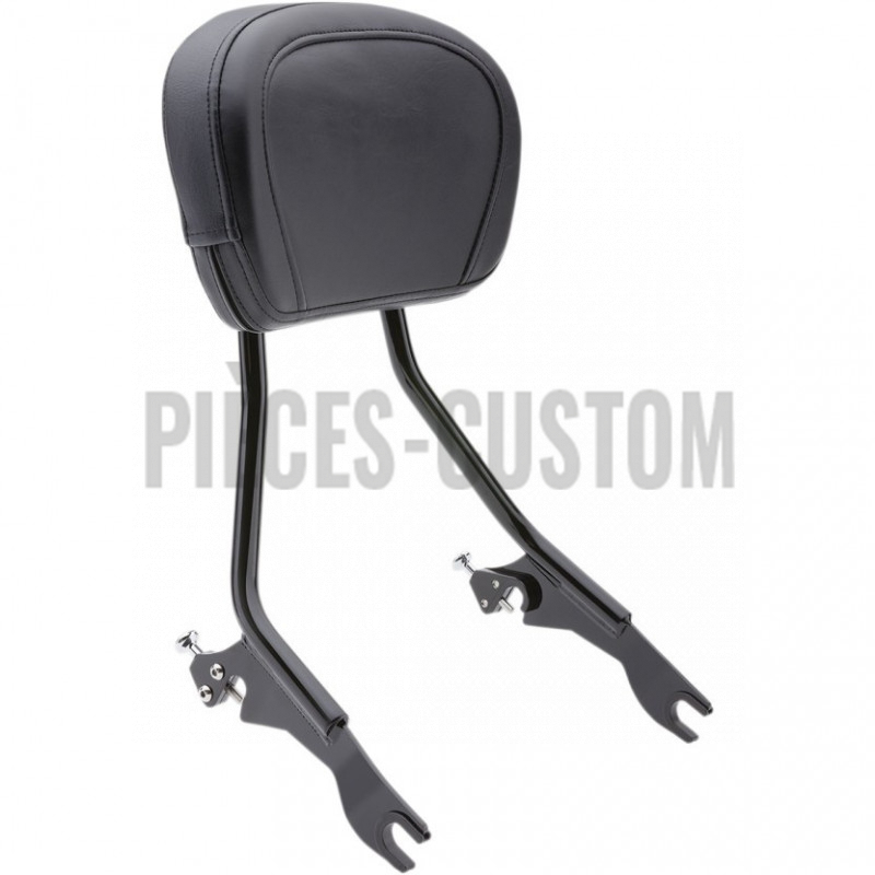 Sissy-Bar-détachable
