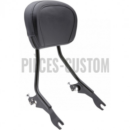 Sissy-Bar-détachable