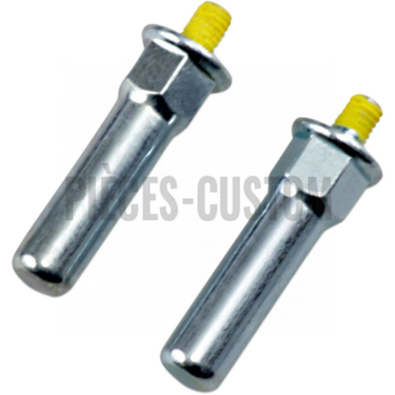 Embouts de protection repose pied pilote pour Sportster XL883N 1200N de 2016 à 2018