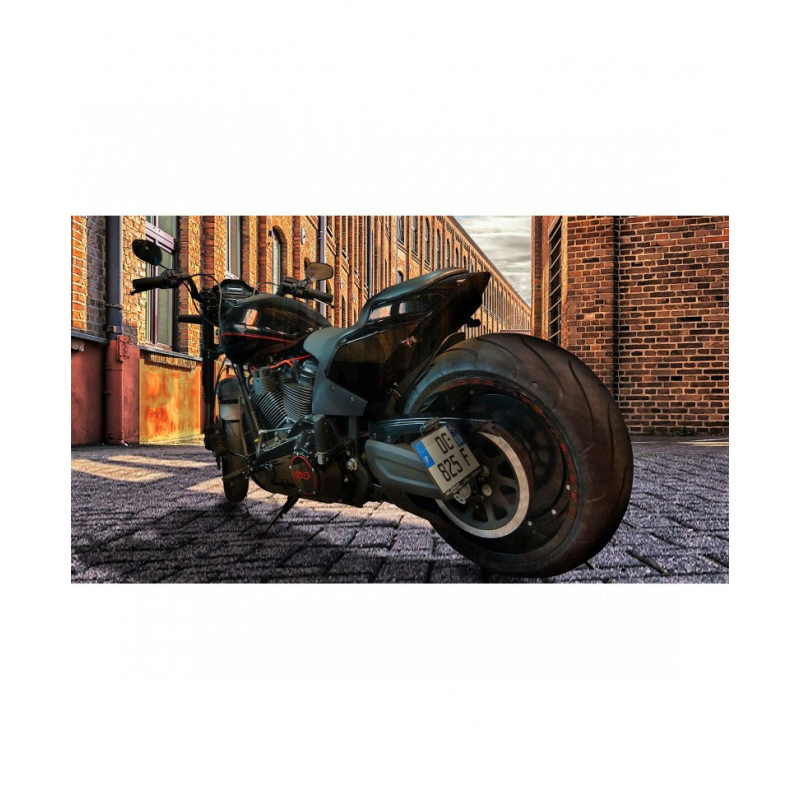 Support de plaque latéral avec éclairage pour Softail FXDR 114