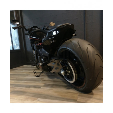 Support de plaque latéral avec éclairage pour Softail FXDR 114