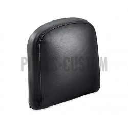 Coussin-de-dosseret-passager