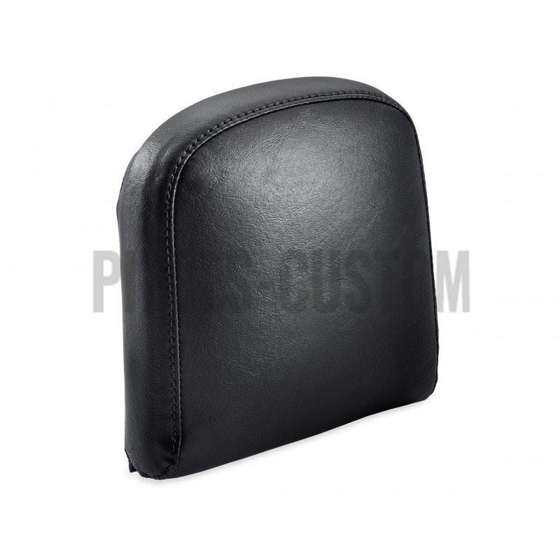 Coussin-de-dosseret-passager
