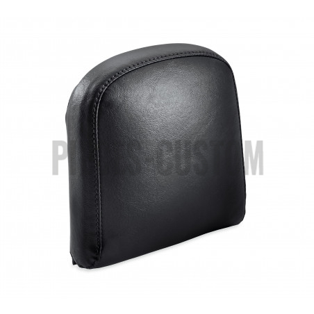 Coussin-de-dosseret-passager