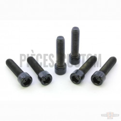 Kits-de-vis-noires-de-Té-de-fourche