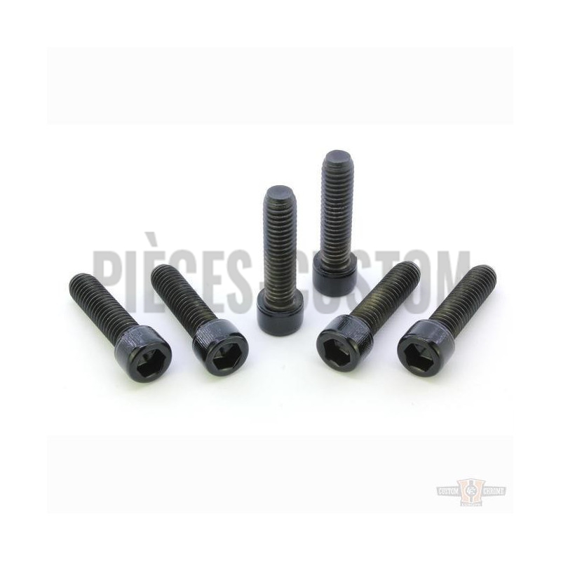Kits-de-vis-noires-de-Té-de-fourche
