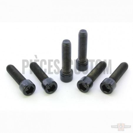 Kits-de-vis-noires-de-Té-de-fourche