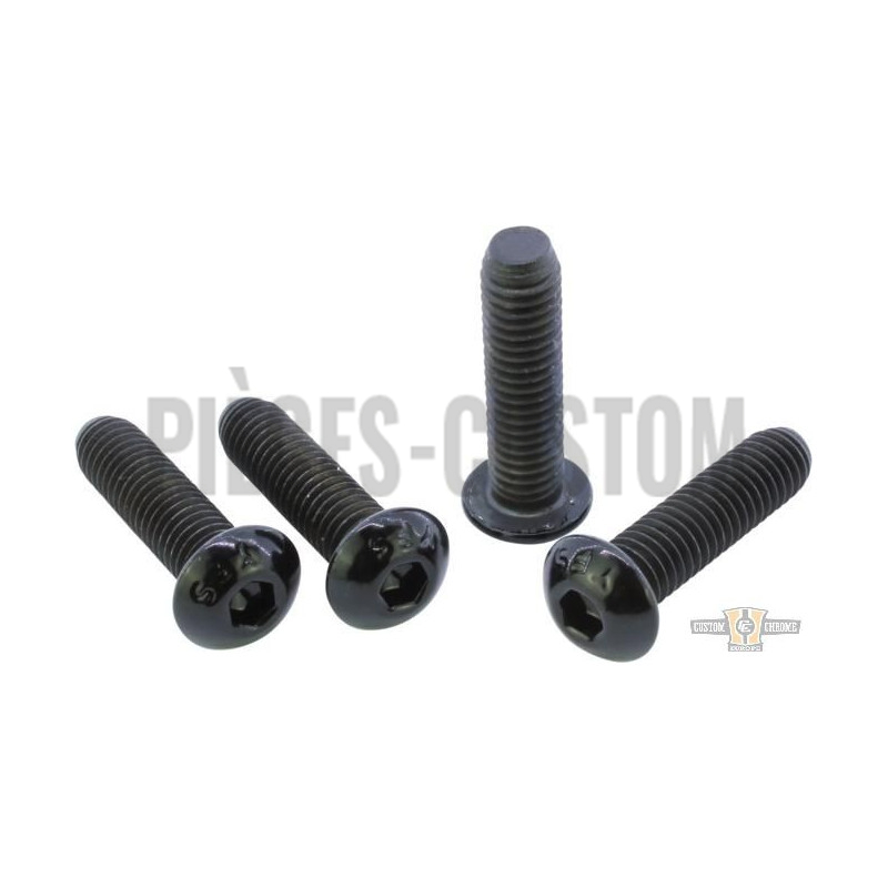 Kits-de-vis-noires-de-Té-de-fourche
