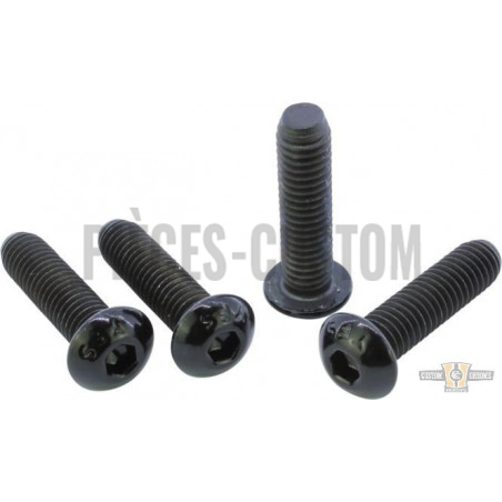 Kits-de-vis-noires-de-Té-de-fourche