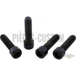 Kits-de-vis-noires-de-Té-de-fourche
