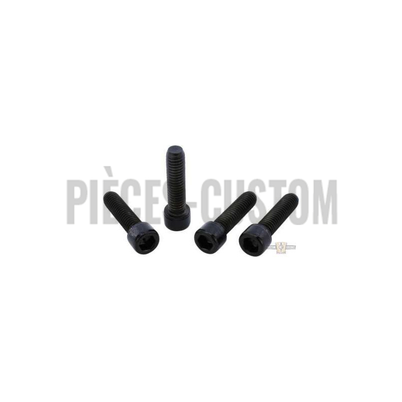 Kits-de-vis-noires-de-Té-de-fourche