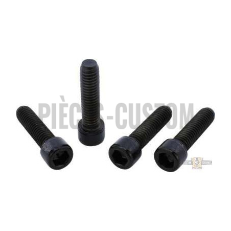 Kits-de-vis-noires-de-Té-de-fourche